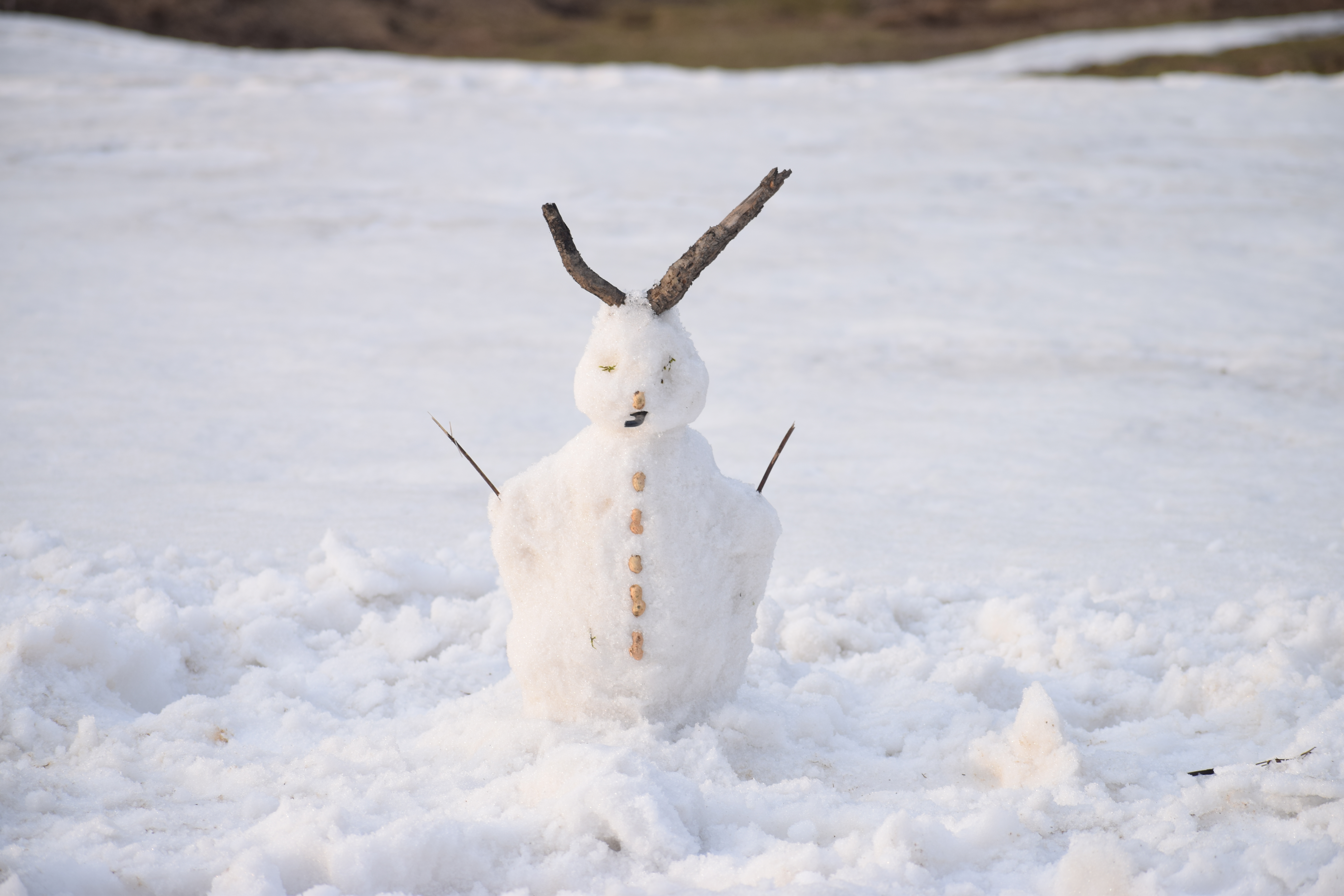 Low budget Snowman at the snowpatch