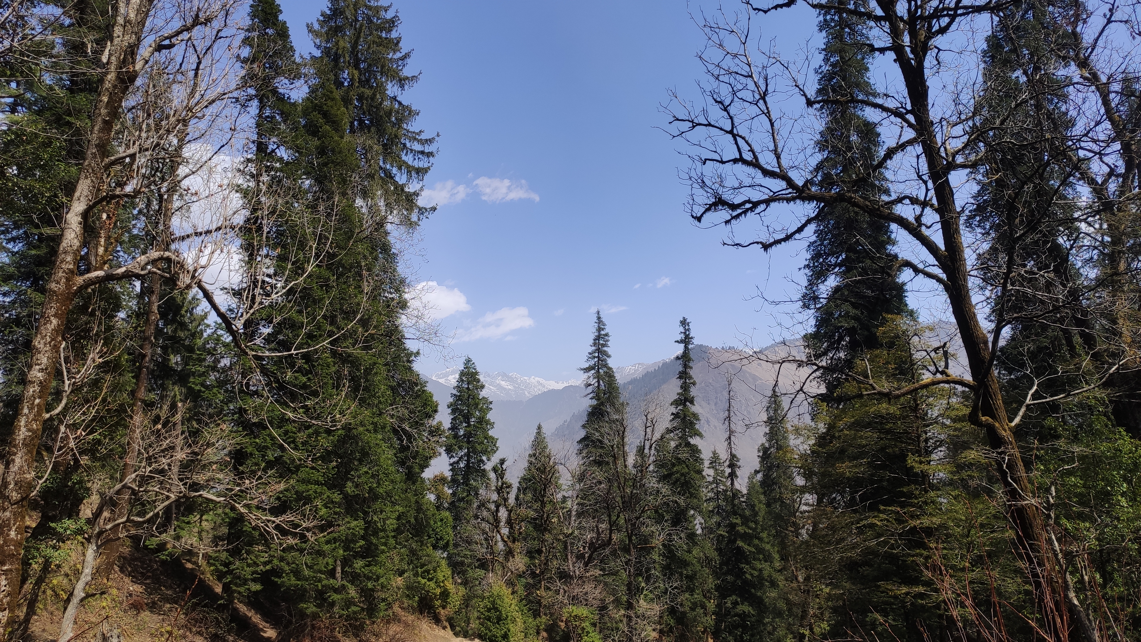View from the first day hike